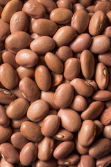 Obraz premium Raw Organic Dry Pink Beans