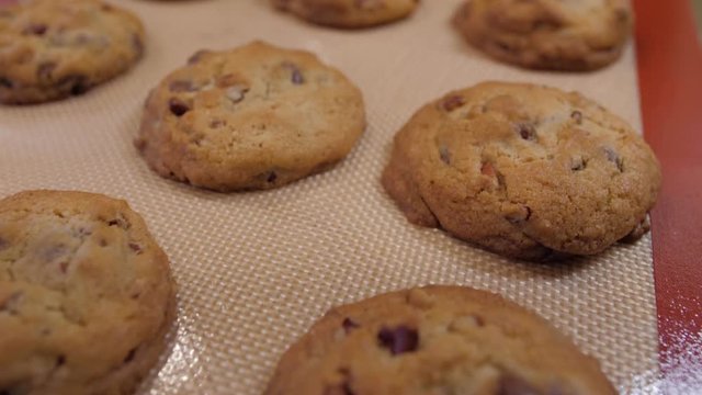 Panning over a tray of freshly baked chocolate chip cookies. Homemade cookies on baking sheet with silicone baking mat.