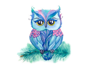 Cute colorful watercolor owl sitting on a fir tree brunch illustration. Hand drawn illustration. T-shirt print. Greeting card. Poster owl. 