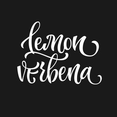 White colored hand drawn spice label - Lemon verbena. Isolated calligraphy scrypt stile word. Vector lettering design element.