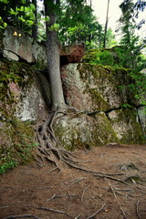 Mon-repo park Vyborg city Leningrad region of Russia