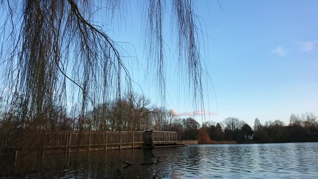Lake water and blue sky with tree branches on foreground.