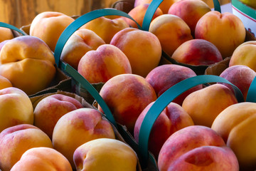 peaches on sale on a local farm