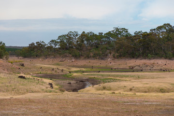 Fototapeta na wymiar A fresh water reservoir feeder creek running dry due to the drought in Australia