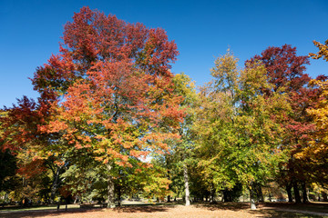 Park of Bad Homburg in autumn