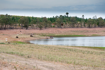 Aerial view of a fresh water reservoir in rural Australia which is reducing due to the extreme drought