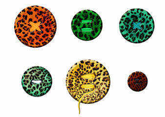 isolated colorful circle buttons set