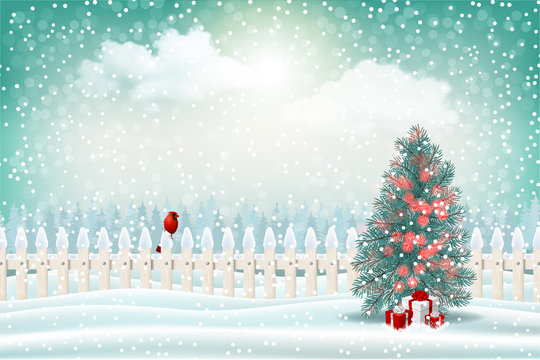 Winter holiday backdrop. Rural forest scene with white fence, red cardinal and gift boxes under the Christmas tree.
