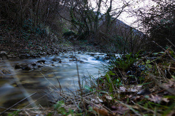 Small river in the pure nature
