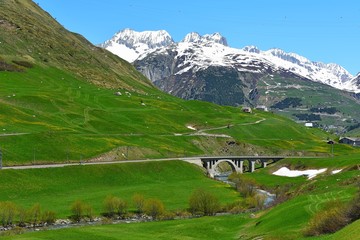 green valley in switzerland