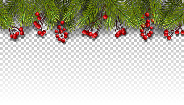 Chrismas holiday natural border with fir branches and red berry isolated on white background.