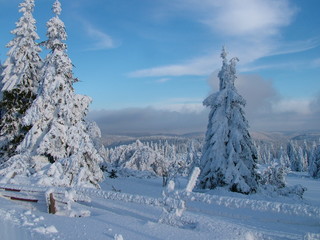 Winterlandschaft Hochschwarzwald