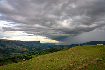 Heavy rain in an open green field in Brazil