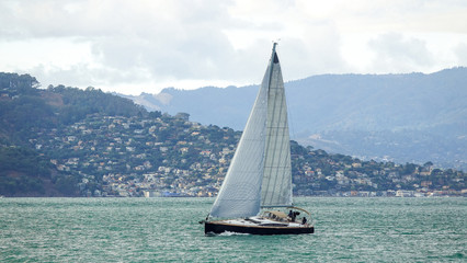 Sailing boat in the San Francisco Bay, California