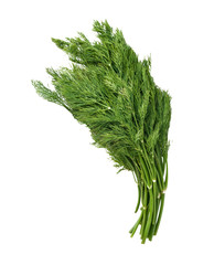 fresh bunch of dill isolated on a white background,