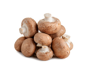champignon bunch isolated on a white background