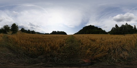 Cloudy weather HDRI Panorama