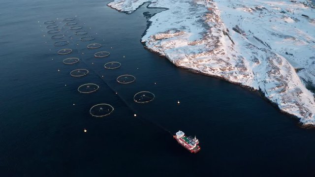 Salmon farm in Tr&aelig;na archipelago in winter, Nordland, Northern Norway, aerial drone shot