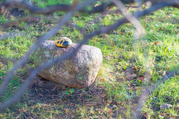 City park in the fall