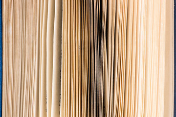 Pages of an open book close up