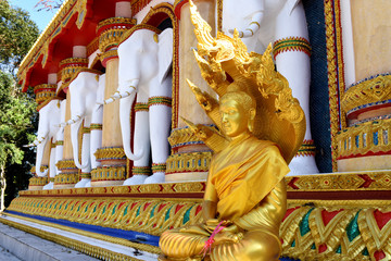 golden Buddha statue at Bang Riang temple Krabi town Khao Lan mountain Phang Nga province Thailand