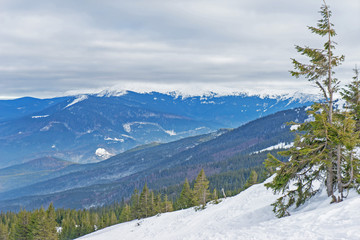 Freeride in carpathians mountain. Dragobrat Ski resort