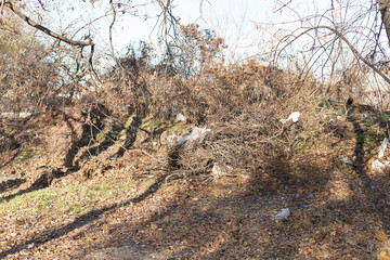 Overfilled garbage cans stand in the middle of the street. Trash spills out, polluting the environment and harming the environment.