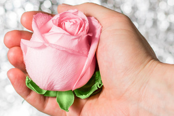 Rose with water drops in hand