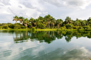 lagoon in the amazon with trees in the background