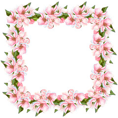 Obraz na płótnie Canvas Watercolor apple blossoming tree frame isolated on white. Hand drawn floral corner wreath with flowers, leaves and buds. Perfect for invitations, design and wedding cards.