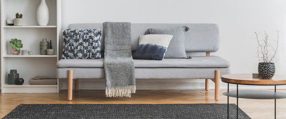 Panoramic view of grey scandinavian sofa with pillows