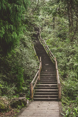 Fototapeta premium Endless Stairs