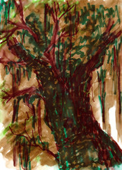 drawing old moss-covered tree in the forest