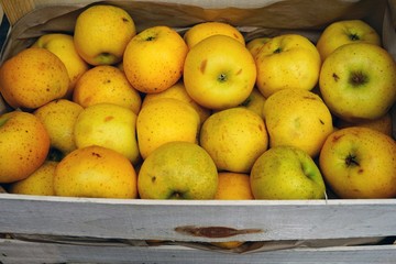 Fresh yellow Chantecler apples at a French farmers market