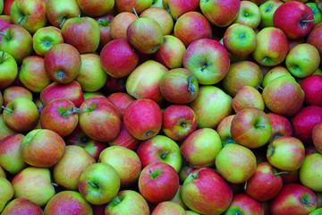 Fresh red and yellow apples at a farmers market in the fall