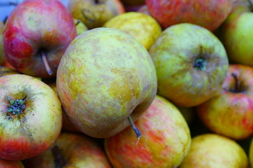 Fresh green Boskoop apples at a French farmers market