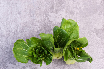 Pak Choi on a grey structured background