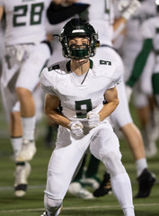 Action photos of football players making amazing plays during a football game