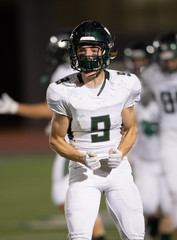 Action photos of football players making amazing plays during a football game