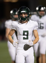 Action photos of football players making amazing plays during a football game