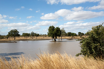 Laguna en el parque nacional Kruger, Sudáfrica.