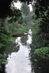 lake with trees and boat in Xochimilco, mexico