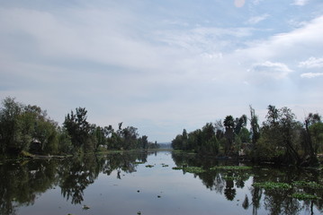 lake and trees in Xochimilco, Mexico