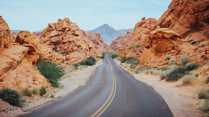 A street in the valley of fire state park, USA
