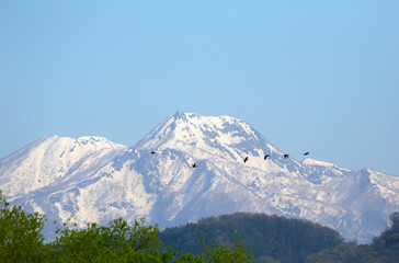 雪の妙高山	