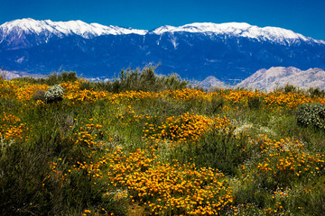 MARCH 15, 2019 - LAKE ELSINORE, CA, USA - 