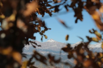 Mountain forest village in autumn. Autumn mountain village view
