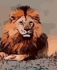 Lion Illustration