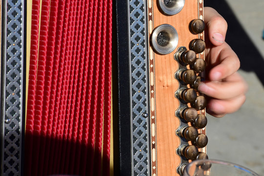  Styrian harmonica - a typical musical instrument in the Salzkammergut (Gmunden district, Upper Austria, Austria)