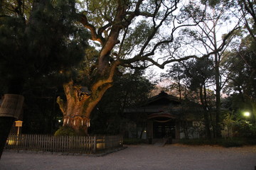 Shinto shrine in Nagoya, Atsuta shining in the morning sun